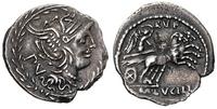 denar 101 r.pne, Sear Lucilia 1