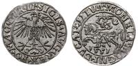 Polska, półgrosz, 1551