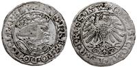 Polska, grosz, 1532