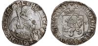 talar (rijksdaalder) 1649, srebro 28.75 g, ładni