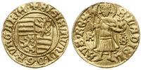 goldgulden 1431-1437, Kremnica, mincerz Hetharsi