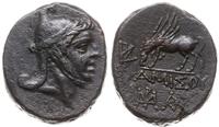 brąz 85-65 pne, Aw: Głowa Perseusza w prawo, w c