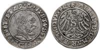 grosz 1529, Królewiec, rzadki rocznik, Kop. 3771
