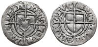 szeląg 1422-1425, Toruń, Aw: Tarcza Wielkiego Mi