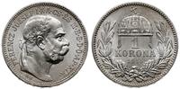 1 korona 1915 KB, Kremnica, piękne, Herinek 817