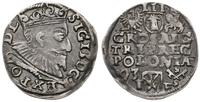 trojak 1593 IF, Poznań, szeroka głowa króla, Ige