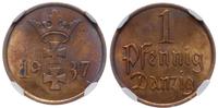 1 fenig 1937, Berlin, pięknie zachowana moneta w
