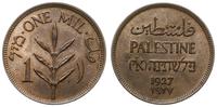 Palestyna, 1 mil, 1927