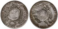 1 peso 1894, kontramarka wybita na monecie peruw