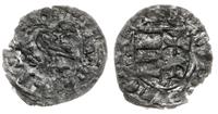 denar ok. 1465, Aw: Kruk w lewo, wokoło napis, R
