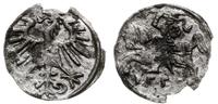 denar 1556, Wilno, małe cyfry daty, lekko wykrus