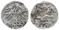 denar 1557, Wilno, Cesnulis-Ivanauskas 2SA16-7, 