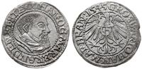 grosz 1545, Kostrzyń, Slg. Marienburg 1245, F.u.