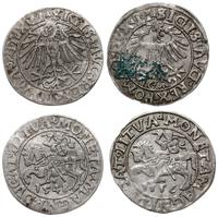 Polska, zestaw: 2 x półgrosz, 1548 i 1556