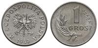Polska, 1 grosz, 1949
