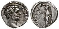 denar 194-195, Rzym, Aw: Głowa cezara w prawo i 