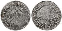 Polska, grosz, 1536 F