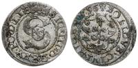 szeląg 1596, Ryga, resztki grynszpanu na monecie