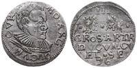 trojak 1596, Mitawa, skrócona data u dołu monety