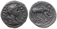 brąz 222-235, Aw: Popiersie cesarza w wieńcu lau