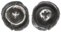 brakteat 1391-1415, na ostrołukowej tarczy orzeł