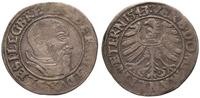 grosz 1543, F.u.S. 1360