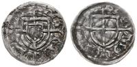 szeląg 1426-1436, Toruń, Aw: Tarcza Wielkiego Mi