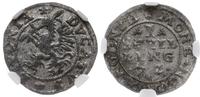 Inflanty, szeląg, 1572