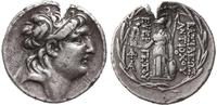tetradrachma 138-129 pne, Aw: Głowa króla w praw