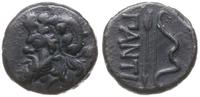 Grecja i posthellenistyczne, brąz, IV-III w. pne
