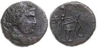 brąz III-II w. pne, Aw: Głowa Dionizosa w prawo,