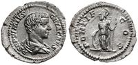denar 203-208, Rzym, Aw: popiersie cezara w praw