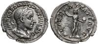 denar 241-243, Rzym, Aw: popiersie cesarza w pra