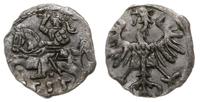 denar 1555, Wilno, Kop. 3213 (R2), Tyszkiewicz 6