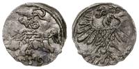 denar 1559, Wilno, Kop. 3217 (R3), Cesnulis-Ivan