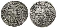 denar pośmiertny 1527, Aw: Tarcza herbowa i napi