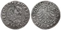 grosz 1544, Brzeg, patyna, F.u.S. 1363