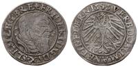 grosz 1545, Brzeg, patyna, F.u.S. 1370