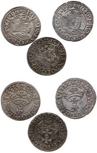 3 x grosz 1532, 1535, 1538, Gdańsk, łącznie 3 sz