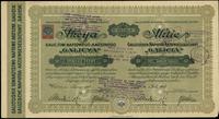 1 akcja na 200 koron 1910, Wiedeń, numeracja 087