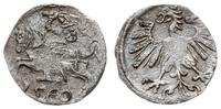 denar 1560, Wilno, Cesnulis-Ivanauskas 2SA20-9