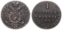 1 grosz polski z miedzi krajowej 1823, Warszawa,