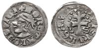 denar ok. 1358-1371, Aw: Głowa Saracena w lewo i