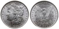 dolar 1882, Filadelfia, typ Morgan, srebro, bard