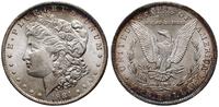 dolar 1884, Nowy Orlean, typ Morgan, srebro, 26.