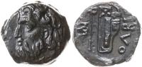 brąz 310-280 pne, Aw: Głowa Borystenesa w lewo, 