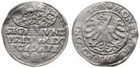 Polska, grosz, 1528
