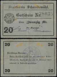 Wielkopolska, 20 marek, ważne do 15.02.1919