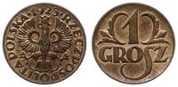 1 grosz 1923, Kings Norton, moneta z naturalną b