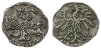 denar 1559, Wilno, Cesnulis-Ivanauskas 2SA19-9, 